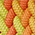 Gradient Orange Braided Solo Loop for Apple Watch swatch